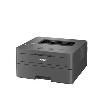 Brother HL-L2400DWE MONO / WLAN / Zwart