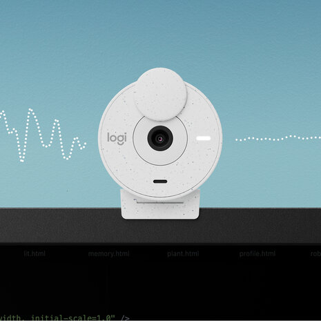 Logitech WebCam Brio 300 Wit